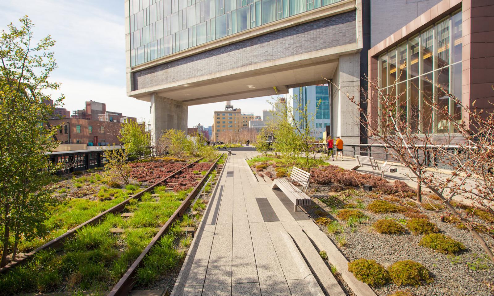 Green Roof