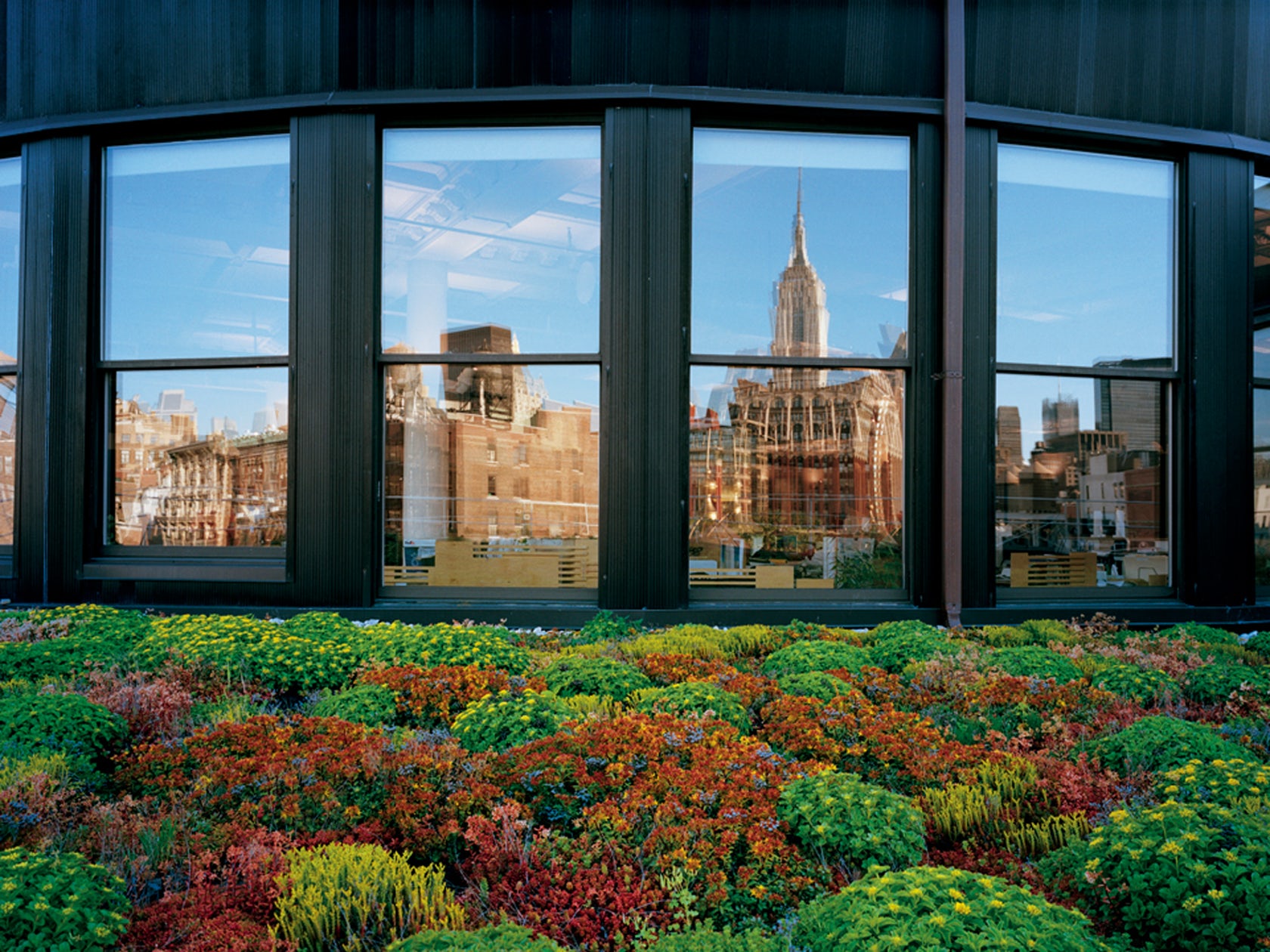 Green Roof