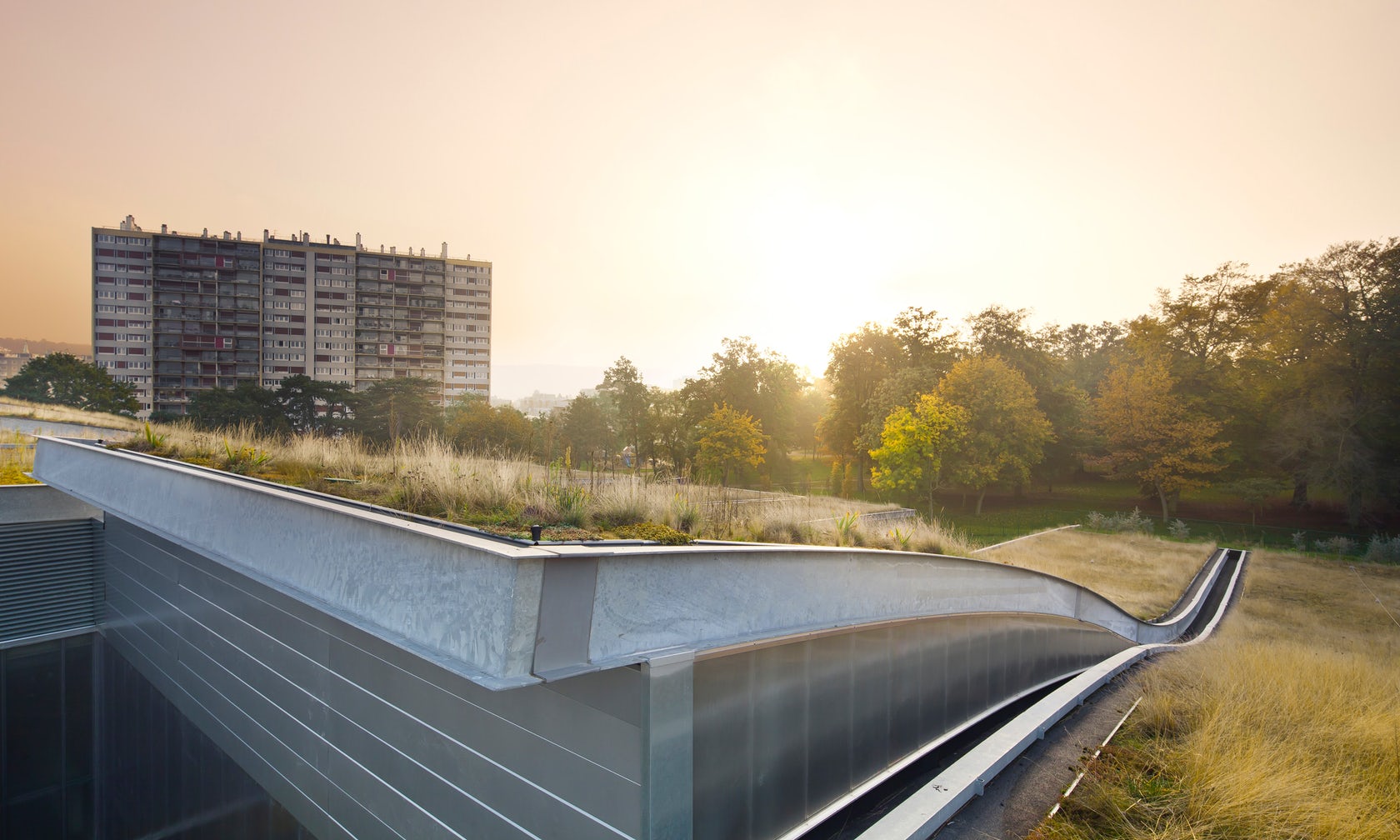 Green Roof