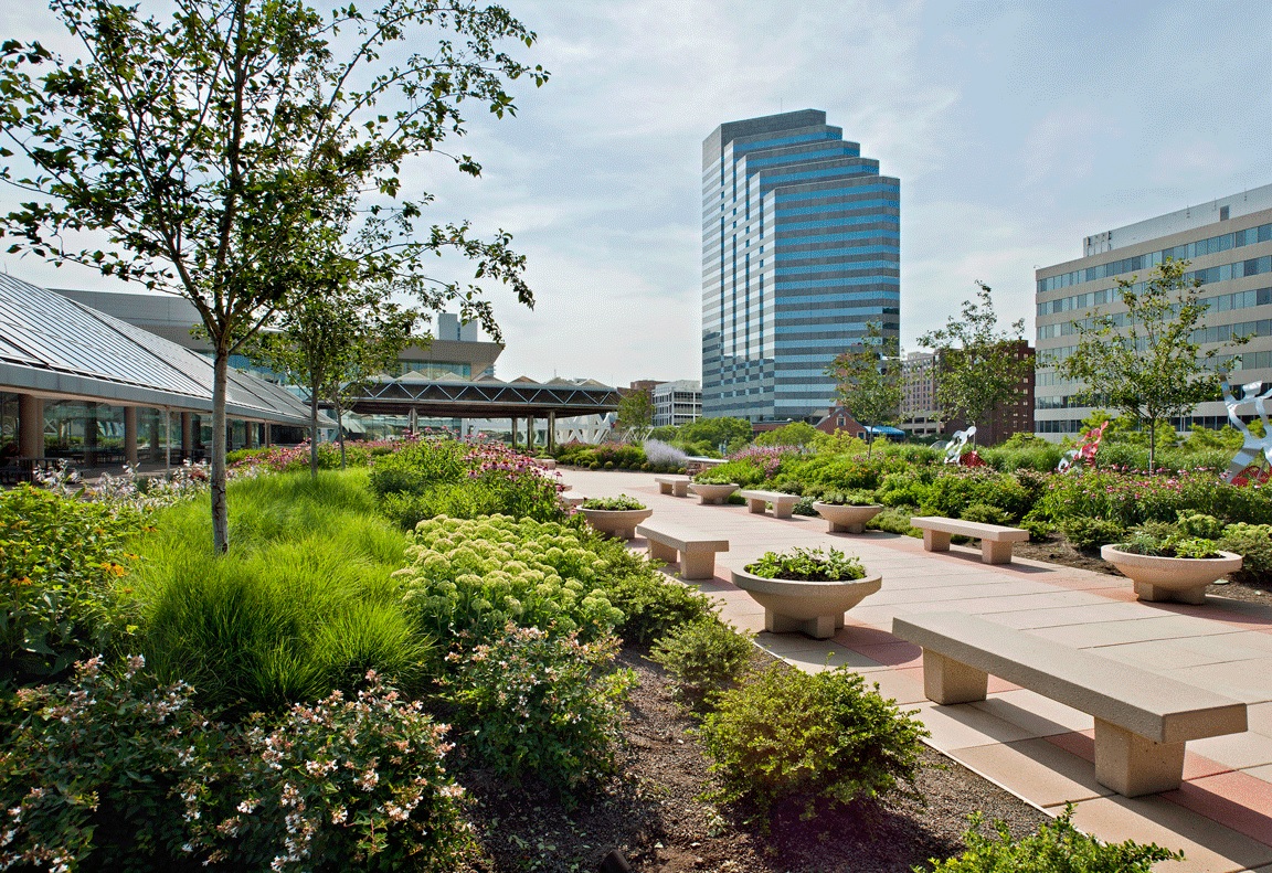 Green Roof