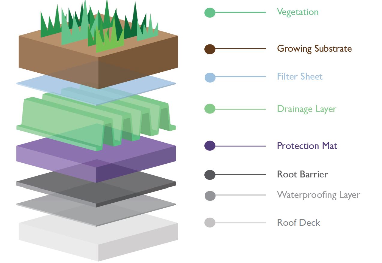 Green Roof